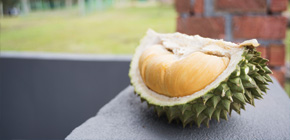 Durian Season